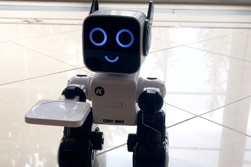 DAC serviert von Robo - Schau ma moi übern Töllaraund